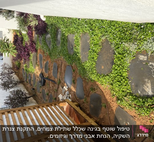 שביל אבנים בגינה עם צמחייה ירוקה